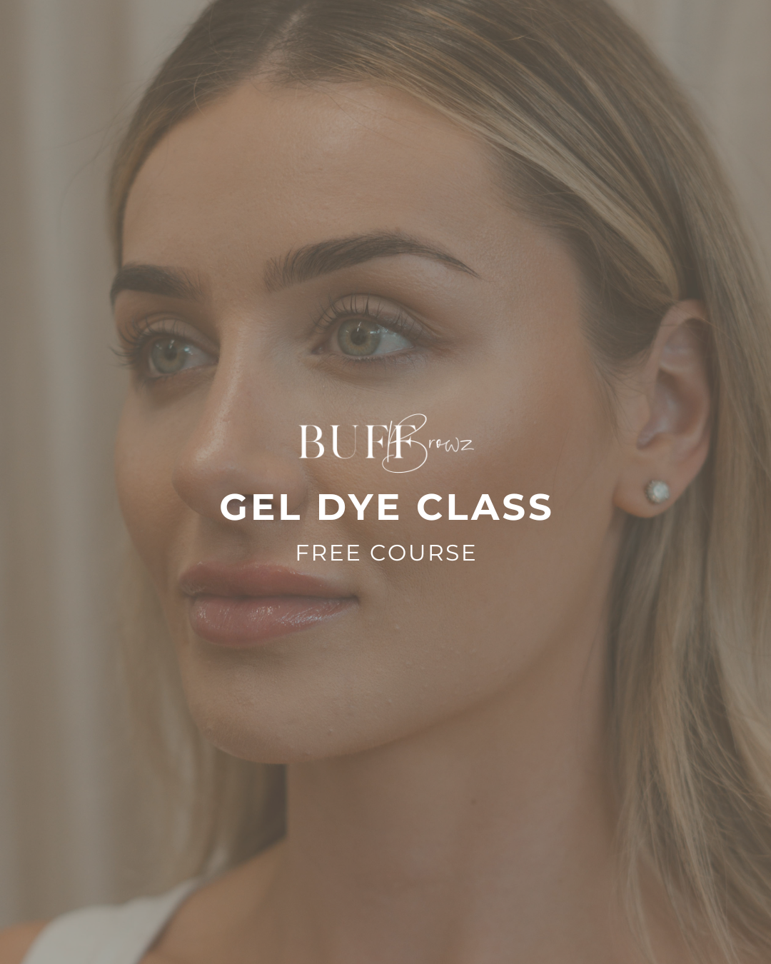 Gel Dye Class