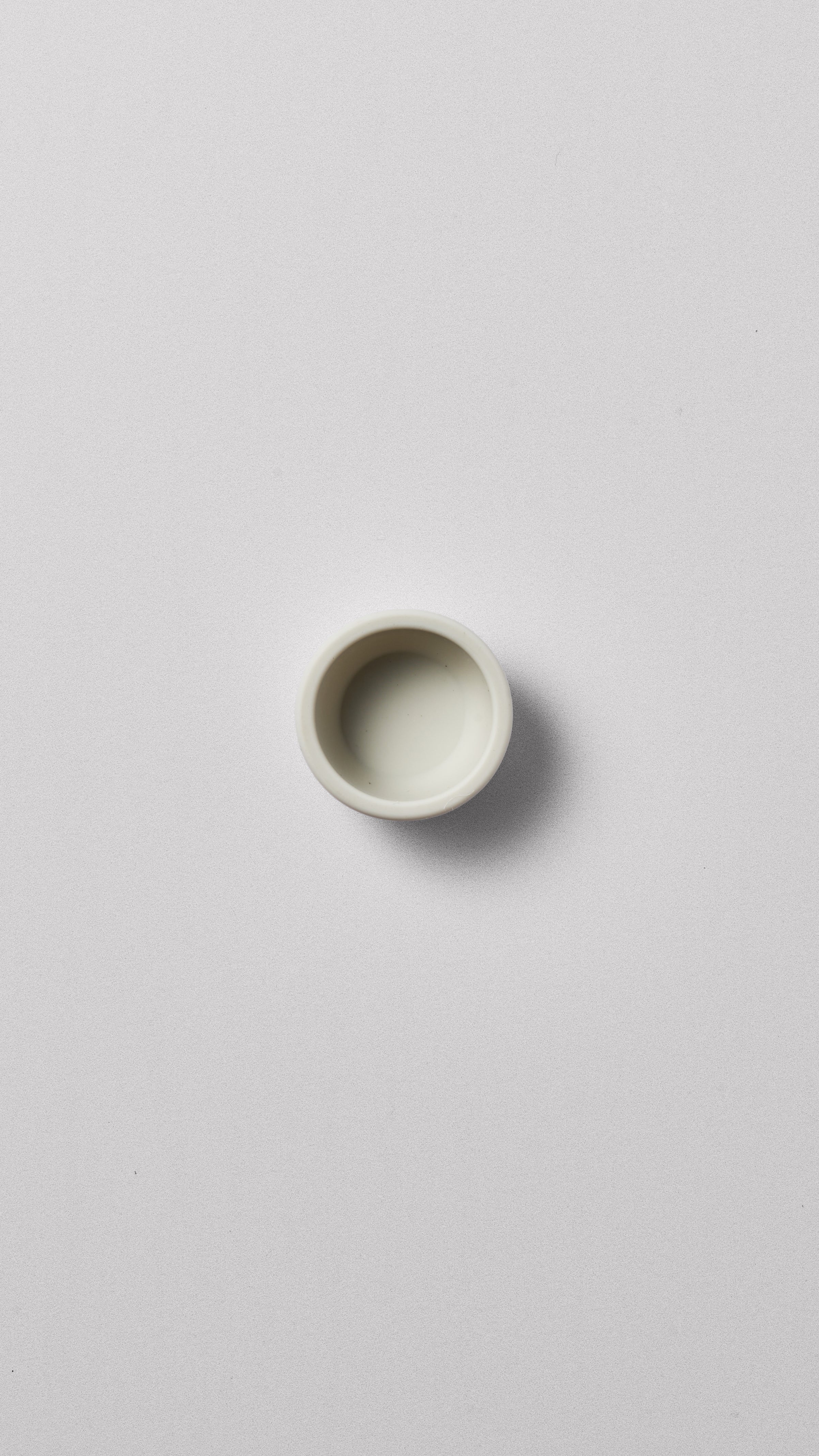 Silicone Bowl